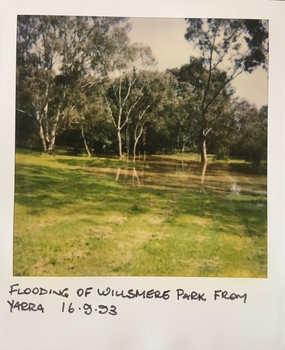 Flooding in the Willsmere Park