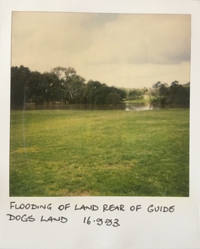 Flooding at parkland at rear of Guide Dogs Victoria