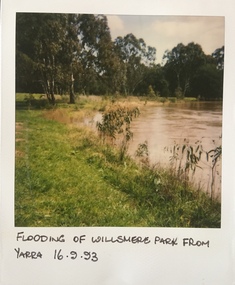 Flooding of Willsmere Park from Yarra
