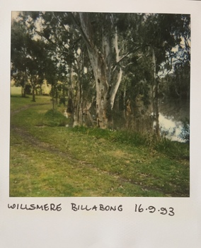 Willsmere Billabong