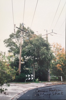 Corner of Hodgson and Young Streets, Kew