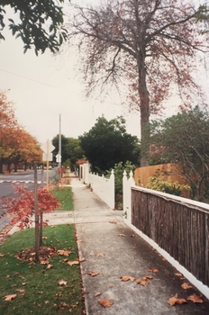Carson Street, Kew