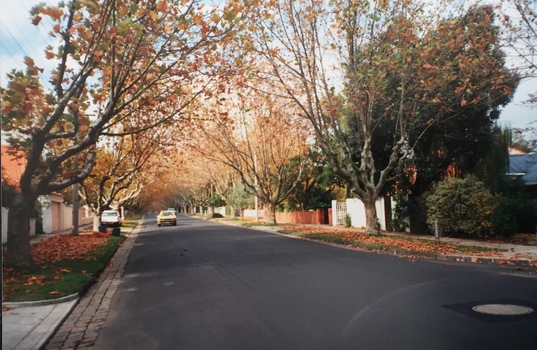 Street view, Kew