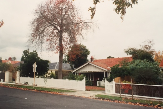 Carson Street, Kew