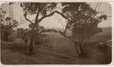 Studley Park