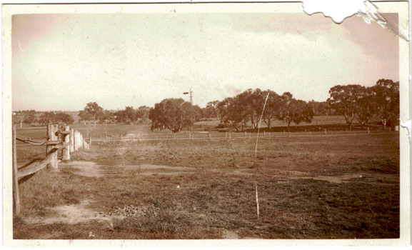 Yarra Flats near Burke Road Bridge