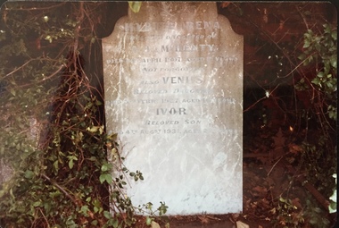 Henty family grave, Boroondara General Cemetery