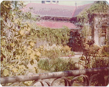 'Mynda', 5 Molesworth Street