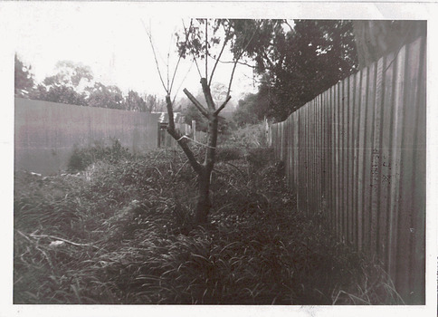 Right-of-way at rear of Parkhill Road and Lalla Street