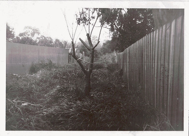 Right-of-way at rear of Parkhill Road and Lalla Street
