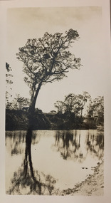Yarra River at Kew