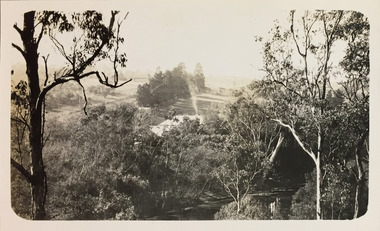 Macauley's Boat Sheds