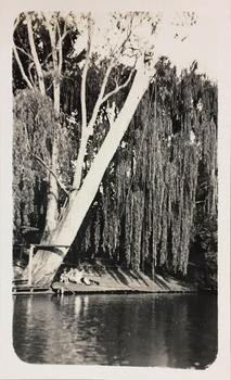 Macauley's Boat Sheds