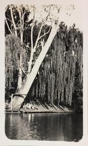 Macauley's Boat Sheds