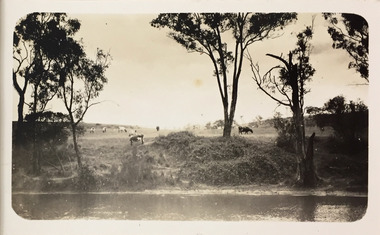 Farmland beside the Yarra River in Kew