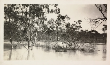 Flooding of the Yarra River at Kew