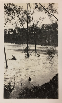 Floodwaters at the Zig-zag Bridge at Kew