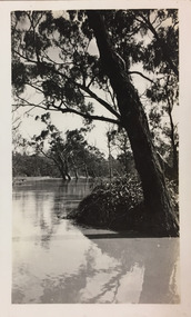 Flooding of the Yarra River at Kew