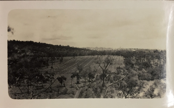 Grounds of the Yarra Bend Asylum
