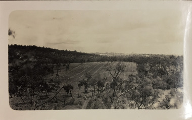 Grounds of the Yarra Bend Asylum