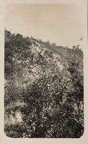 Escarpment at Galatea Point