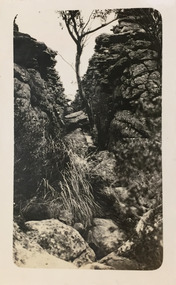 The Grampians