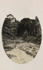 Rural landscape
