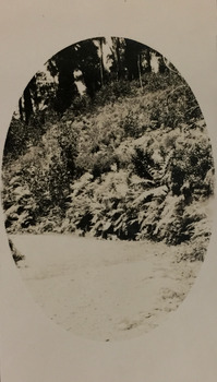 Hillside at Marysville