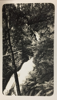 Waterfall at Marysville