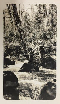 River at Marysville