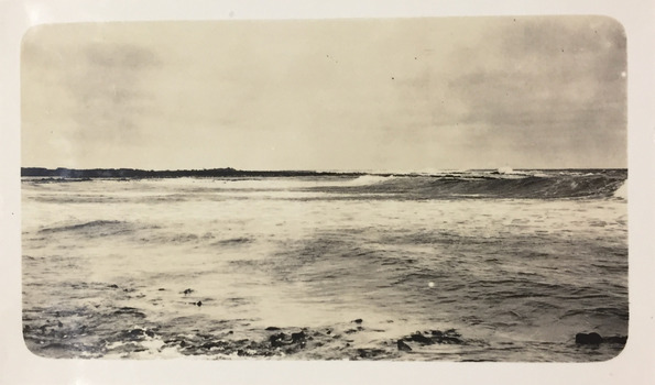 Southern Shoreline at Port Fairy