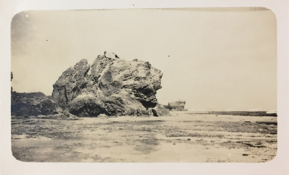 McKechnie's Craigs at Port Fairy