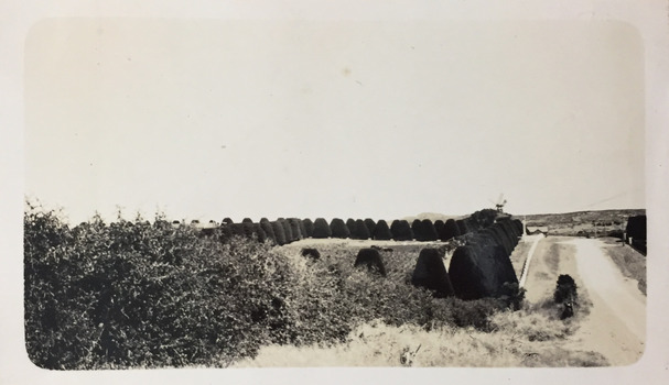 Rural scene