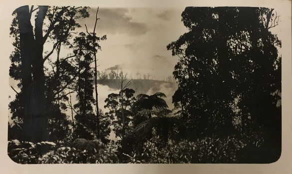 Misty landscape