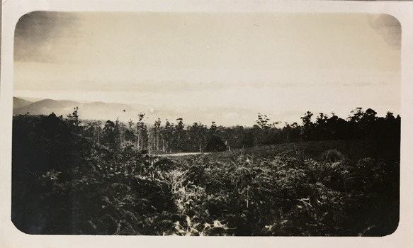 Mountainous landscape