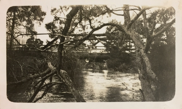 Bridge