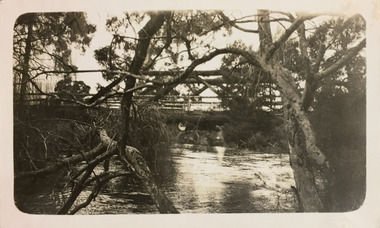 Bridge
