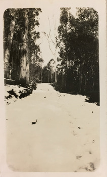 Snow-covered road