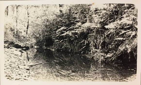 Small creek between Bruthen and Swan Reach