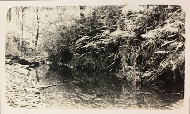Small creek between Bruthen and Swan Reach