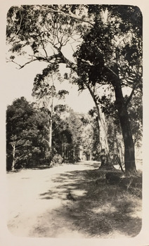 Road near Glen Wills and Lightning Creek