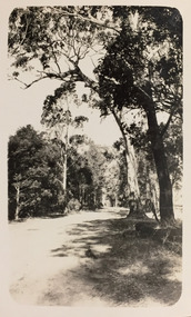 Road near Glen Wills and Lightning Creek