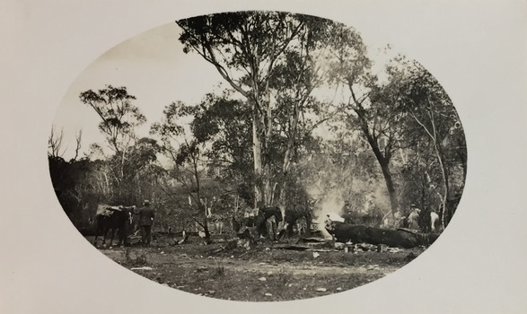 Campsite near Bogong