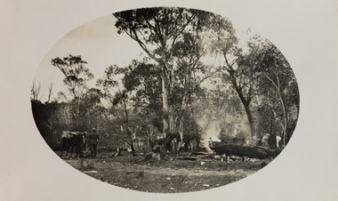 Campsite near Bogong