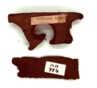 Elephant hide stamps