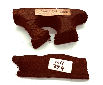 Elephant hide stamps