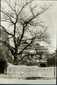House, 47 Derby Street, Kew