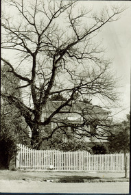 House, 47 Derby Street, Kew