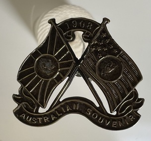 Souvenir hat pin