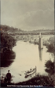 River Yarra near Macauleys' Boathouse Kew